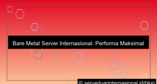 bare metal server internasional