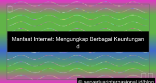 manfaat internet