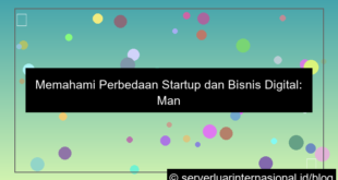 visual perbedaan startup dan bisnis digital