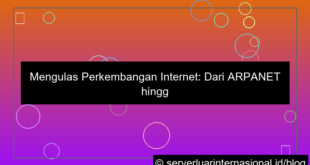 visual perkembangan internet