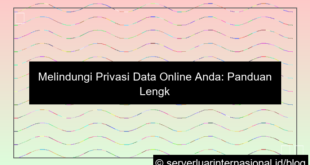 privasi data online