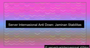 server internasional anti down
