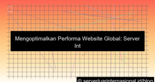 server internasional audience global
