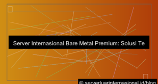 visual server internasional bare metal premium