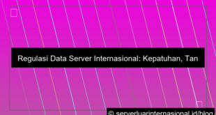 server internasional data regulation