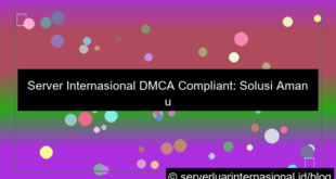 visual server internasional dmca compliant