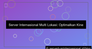 visual server internasional multi location