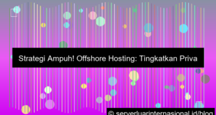 server internasional offshore hosting