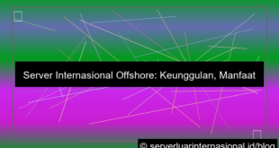 visual server internasional offshore server