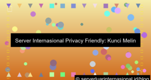 ilustrasi server internasional privacy friendly