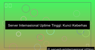 server internasional uptime tinggi