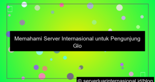 server internasional visitor dunia