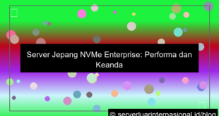 visual server jepang nvme enterprise