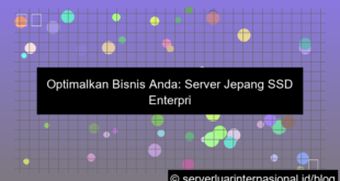 gambar server jepang ssd enterprise