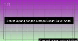server jepang storage besar