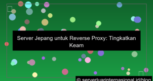 ilustrasi server jepang untuk reverse proxy
