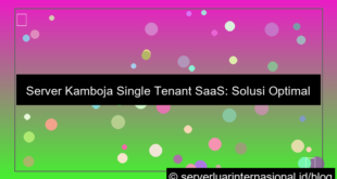 ilustrasi server kamboja single tenant saas