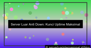visual server luar anti down