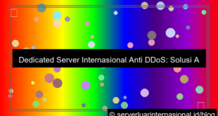 gambar dedicated server internasional anti ddos