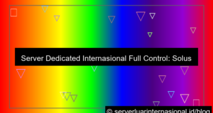 dedicated server internasional full control