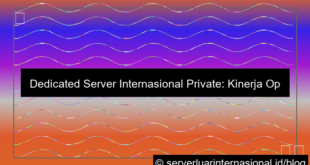 dedicated server internasional private
