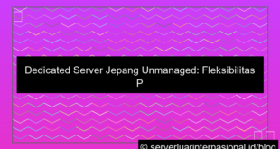 ilustrasi dedicated server jepang unmanaged