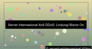 visual server internasional anti ddos