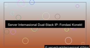 grafik server internasional dual stack ip