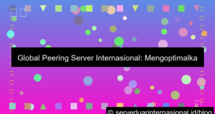 visual server internasional global peering