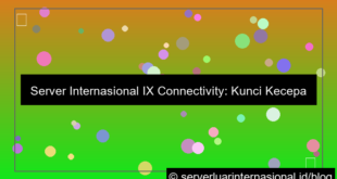 server internasional ix connectivity