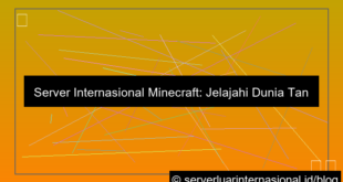 server internasional minecraft