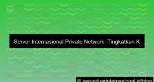 visual server internasional private network