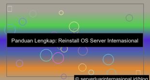 visual server internasional reinstall os
