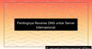 desain server internasional reverse dns