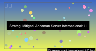 visual server internasional threat mitigation