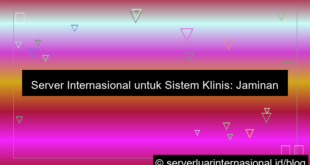 server internasional untuk clinical system
