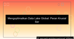 ilustrasi server internasional untuk data lake global
