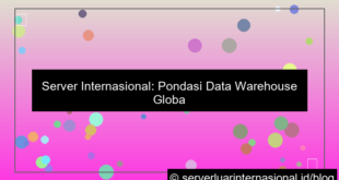 visual server internasional untuk data warehouse global