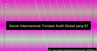 server internasional untuk global audit