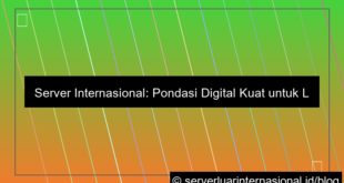 server internasional untuk lembaga internasional