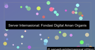 visual server internasional untuk organisasi internasional
