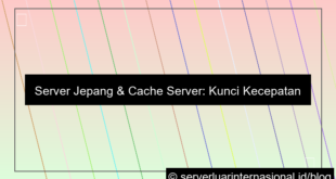 visual server jepang cache server