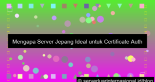 grafik server jepang untuk certificate authority