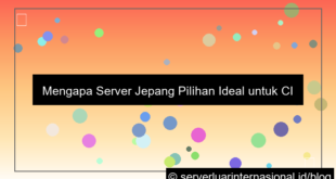gambar server jepang untuk ci server