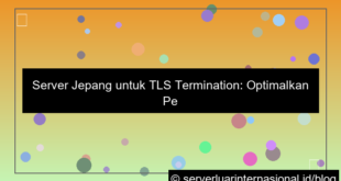 server jepang untuk tls termination
