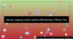 visual server jepang untuk uptime monitoring