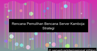 visual server kamboja disaster plan