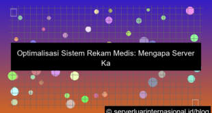 grafik server kamboja medical record system