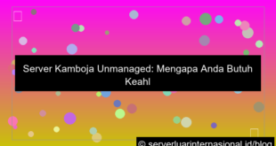 server kamboja unmanaged expert