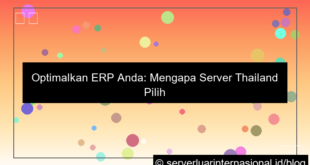 ilustrasi server thailand untuk erp